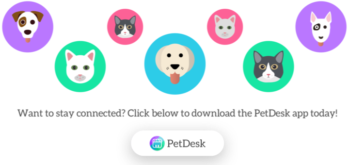 pet-desk-app